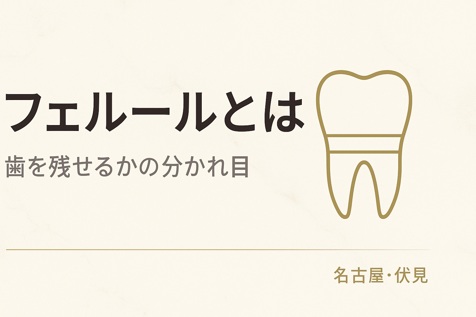 フェルールとは｜歯を残せるかの分かれ目