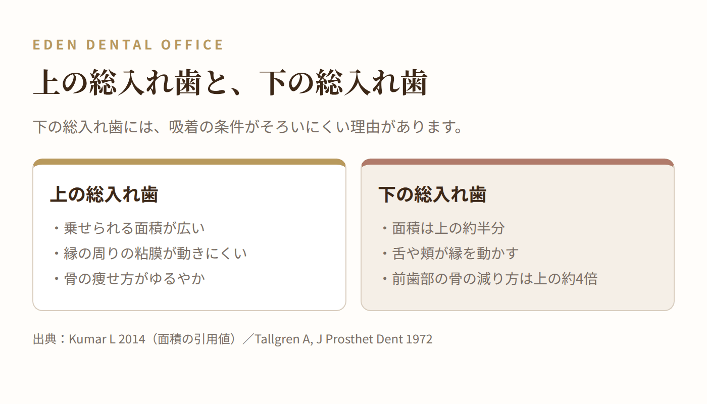 上の総入れ歯と下の総入れ歯の条件の比較