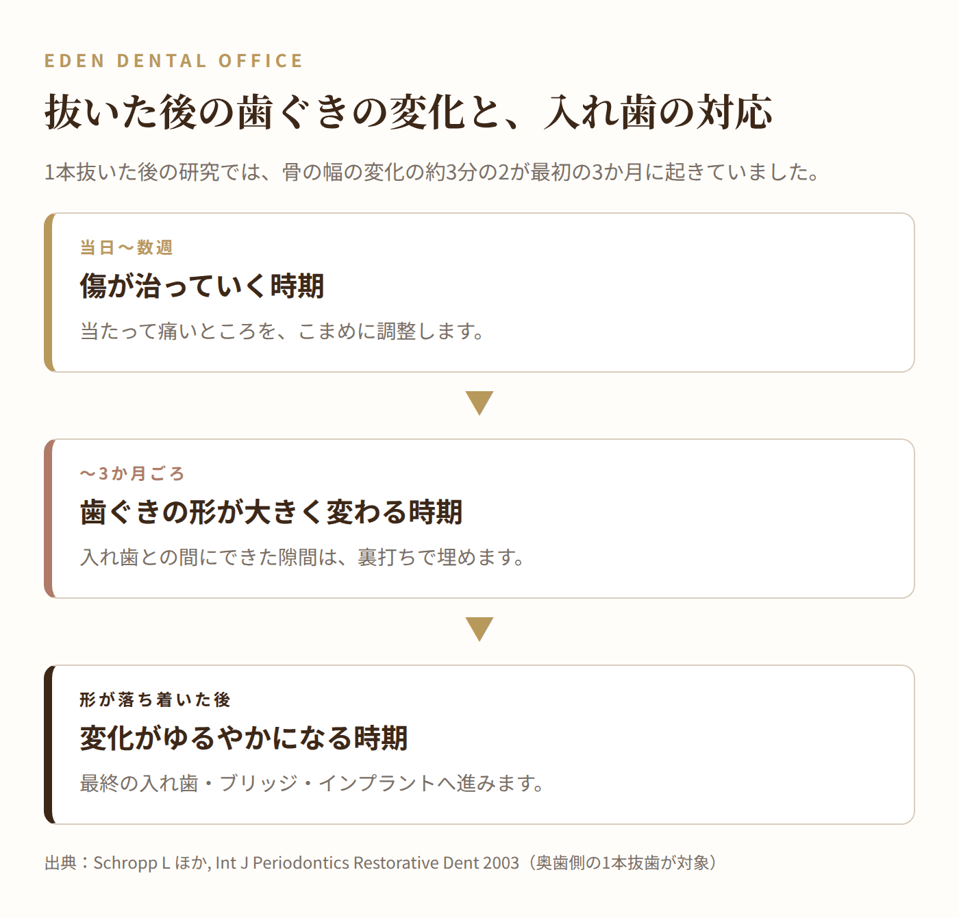 抜歯後の時期ごとの歯ぐきの変化と入れ歯の対応